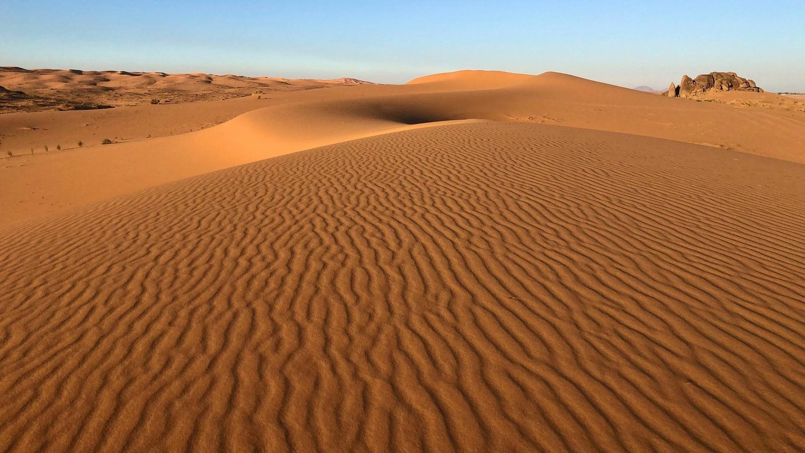 Desert dune field, wind ripples running across open sand